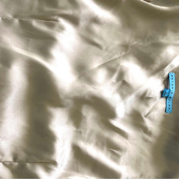 Antonio Melani Dressy Silk Ruffled front fully lined fitted side zipper top Sz M - Picture 6 of 11